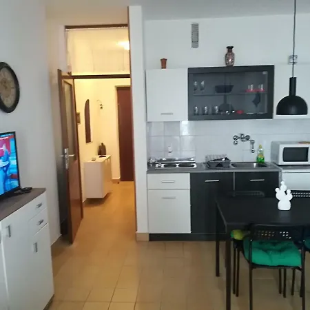 Apartment Darko *