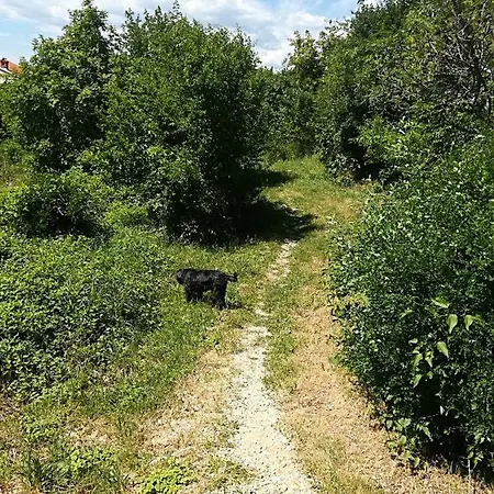 Darko Lejlighed Novi Vinodolski