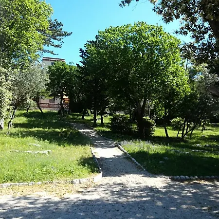 Darko Novi Vinodolski