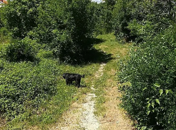 Darko Apartment Novi Vinodolski