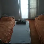 Darko 诺维·维诺多尔斯基