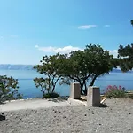 Darko * 诺维·维诺多尔斯基