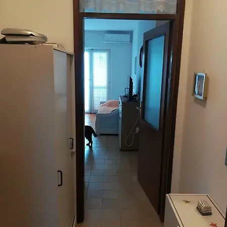 Darko Novi Vinodolski