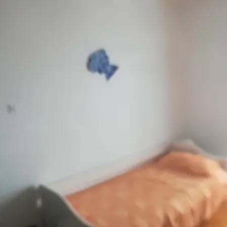 Apartment Darko *