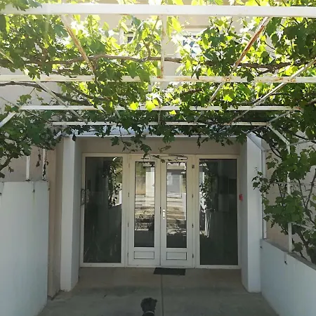 Darko
