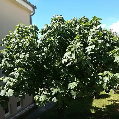 Darko Apartment Novi Vinodolski