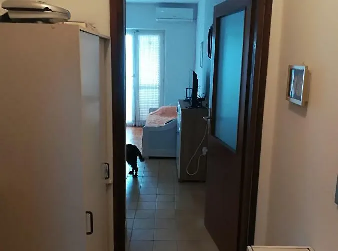 Darko نوفي فينودولسكي