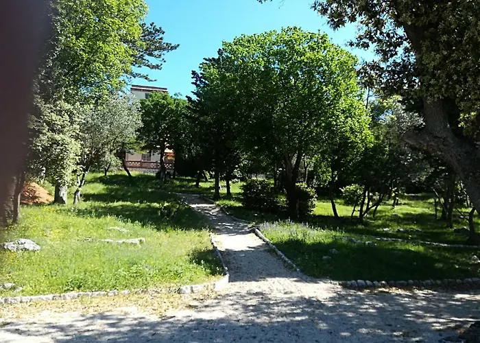 Darko نوفي فينودولسكي